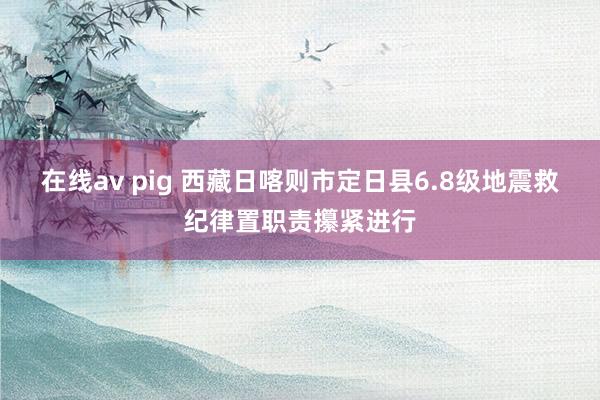 在线av pig 西藏日喀则市定日县6.8级地震救纪律置职责攥紧进行