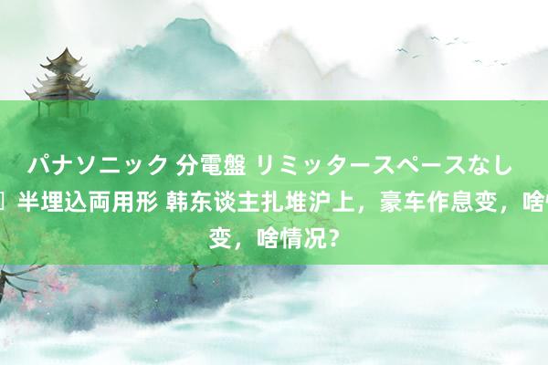 パナソニック 分電盤 リミッタースペースなし 露出・半埋込両用形 韩东谈主扎堆沪上，豪车作息变，啥情况？