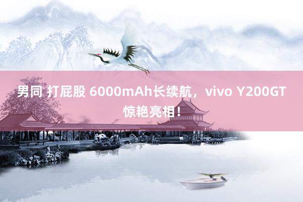 男同 打屁股 6000mAh长续航，vivo Y200GT惊艳亮相！